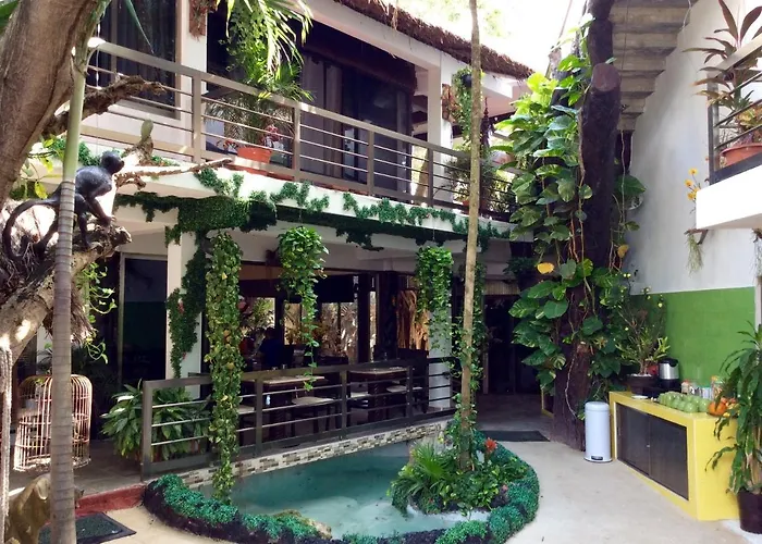 Private 10 Rooms, Private Pool, Walk To Couette-café Playa del Carmen